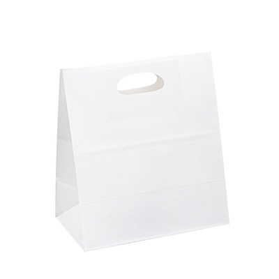 FSC Certificated Custom Paper Shopping Bags With Logo Printed 100gsm 150gsm