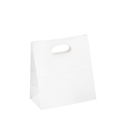 FSC Certificated Custom Paper Shopping Bags With Logo Printed 100gsm 150gsm